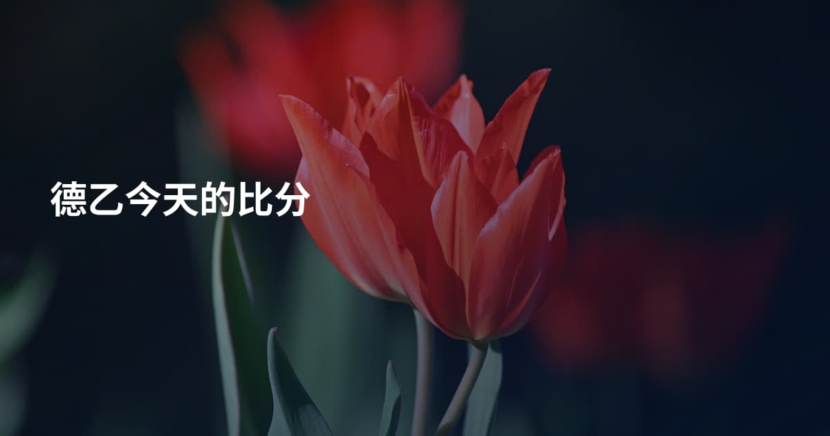 德乙今天的比分