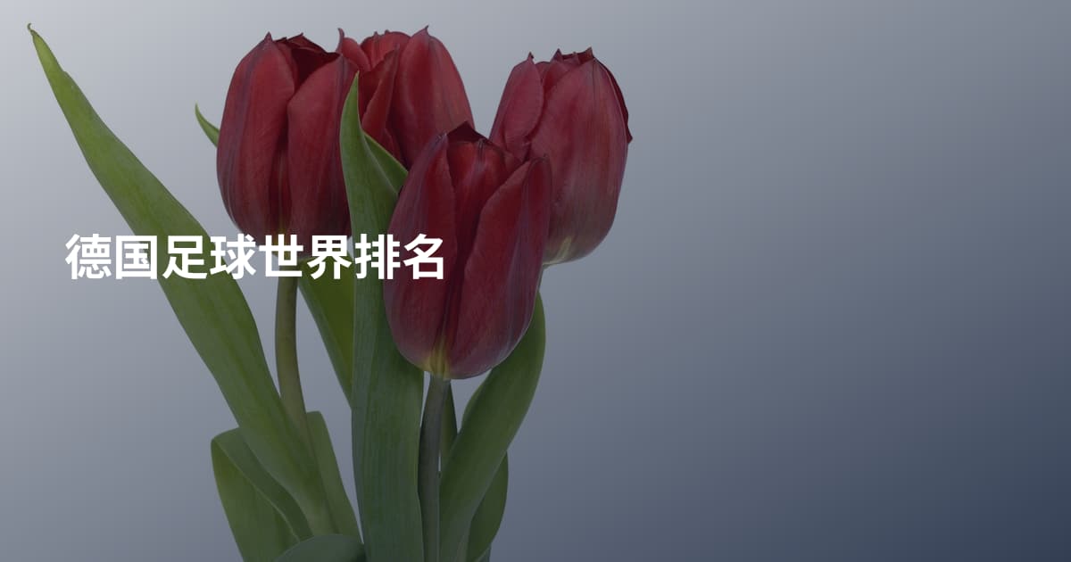 德国足球世界排名