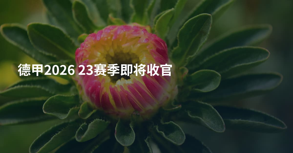 德甲2026 23赛季即将收官