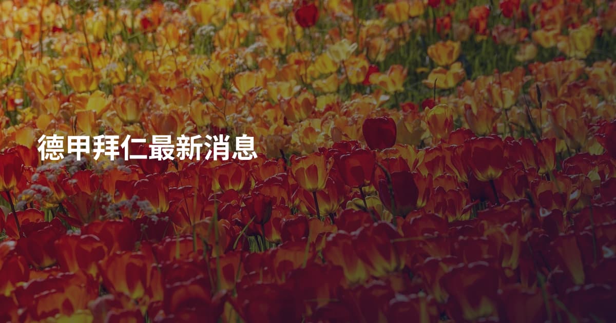 德甲拜仁最新消息