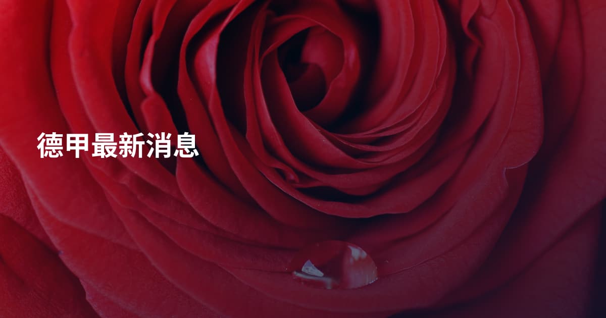 德甲最新消息