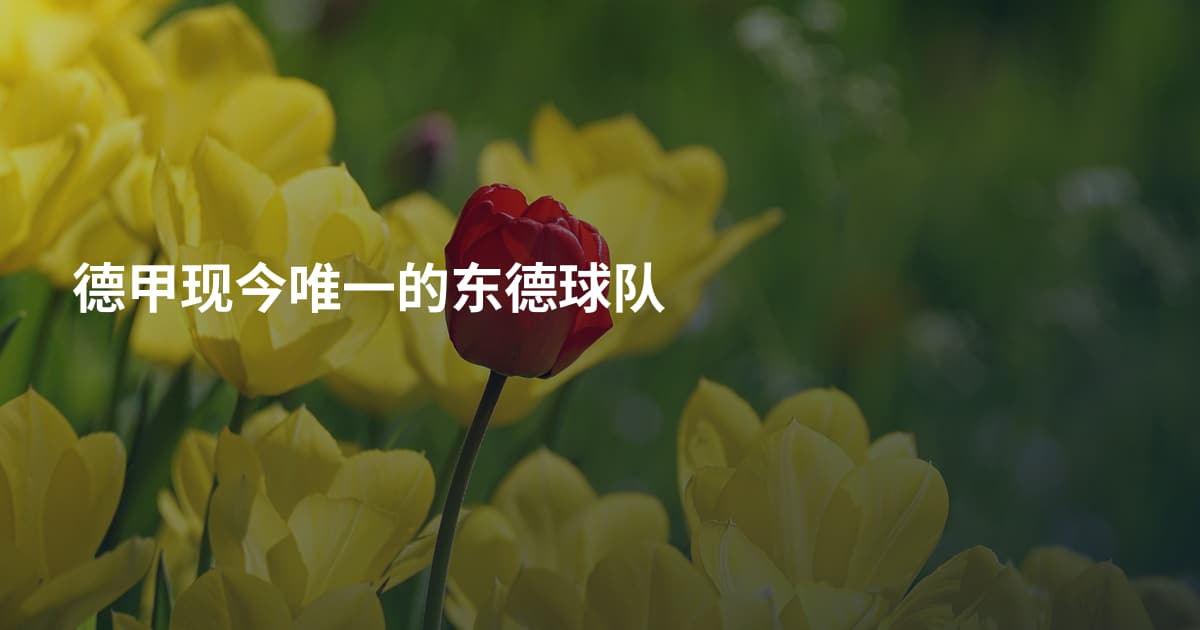 德甲现今唯一的东德球队