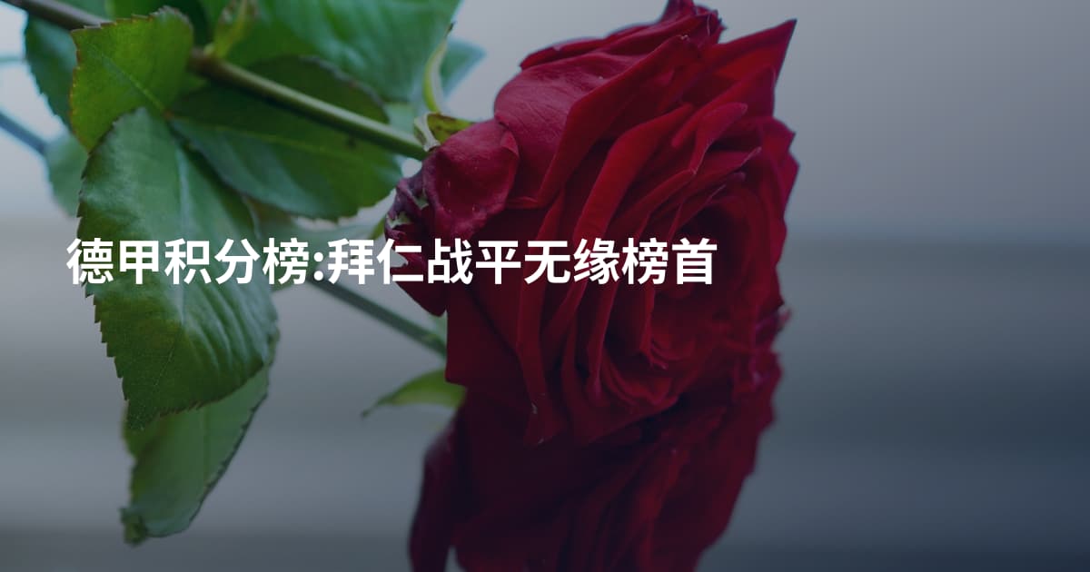 德甲积分榜:拜仁战平无缘榜首