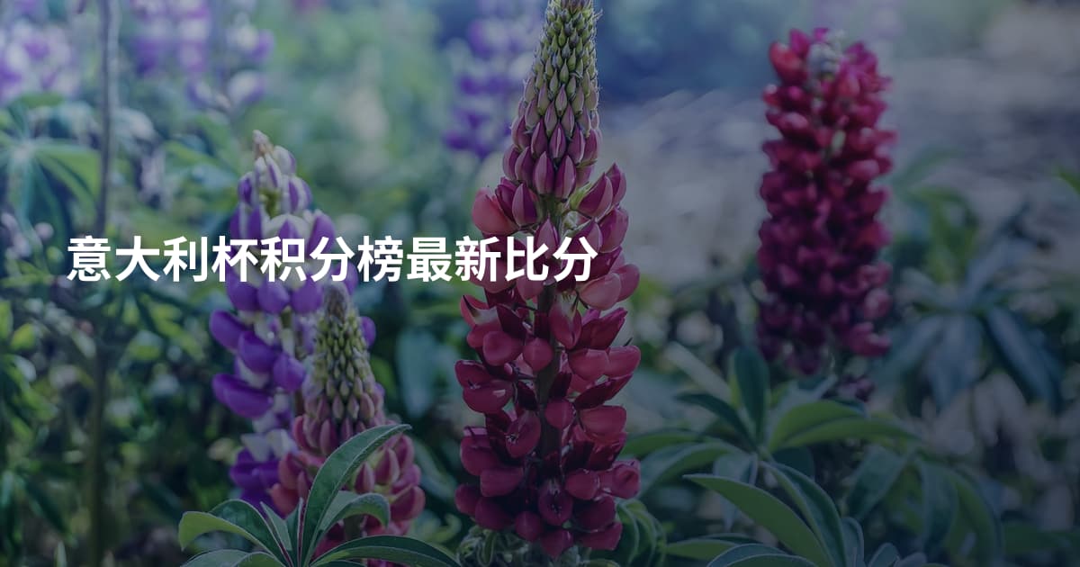 意大利杯积分榜最新比分