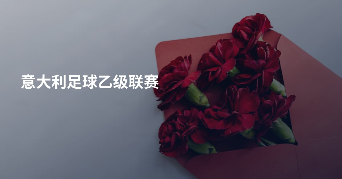意大利足球乙级联赛