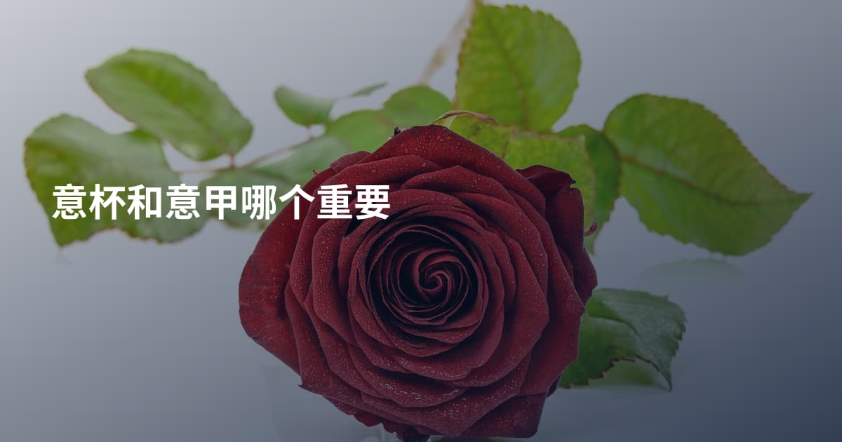 意杯和意甲哪个重要
