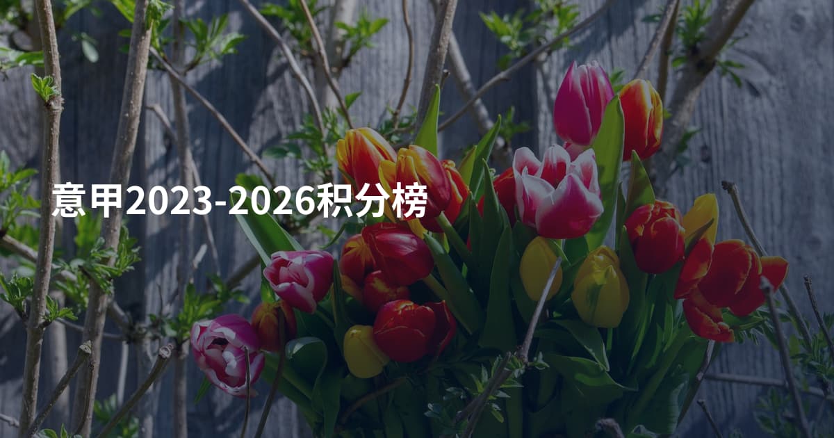 意甲2023-2026积分榜