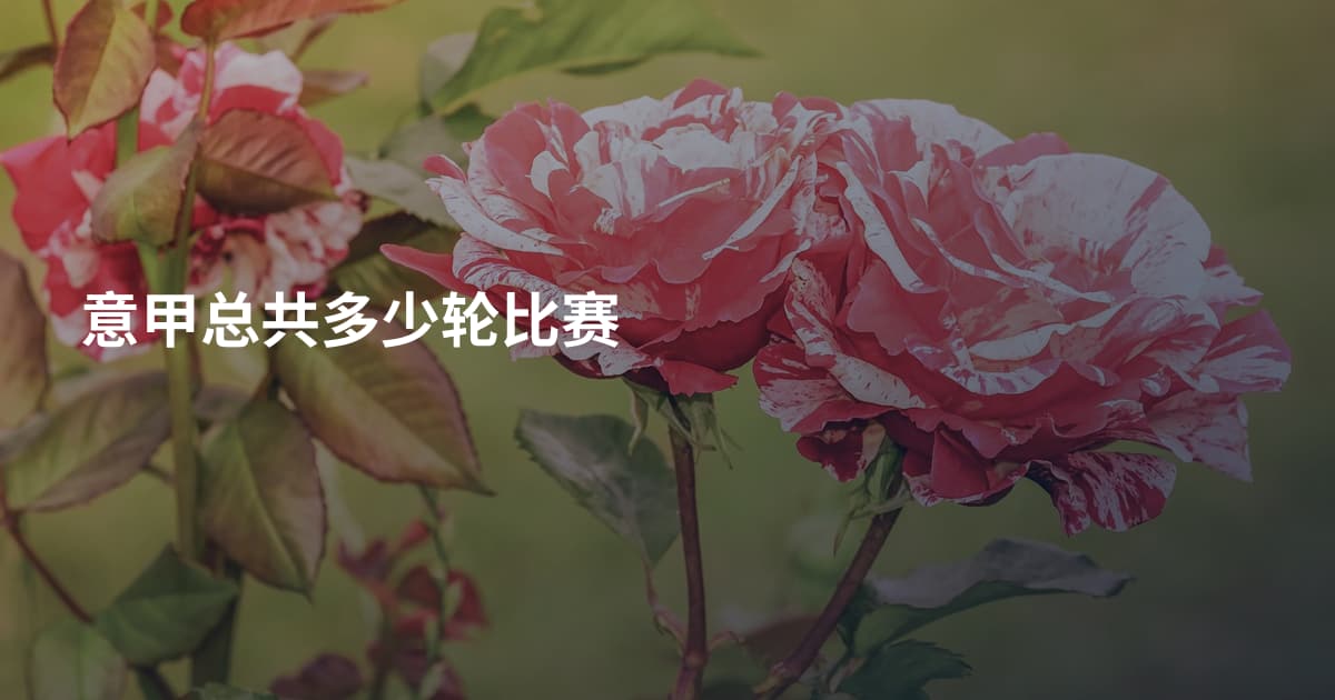 意甲总共多少轮比赛