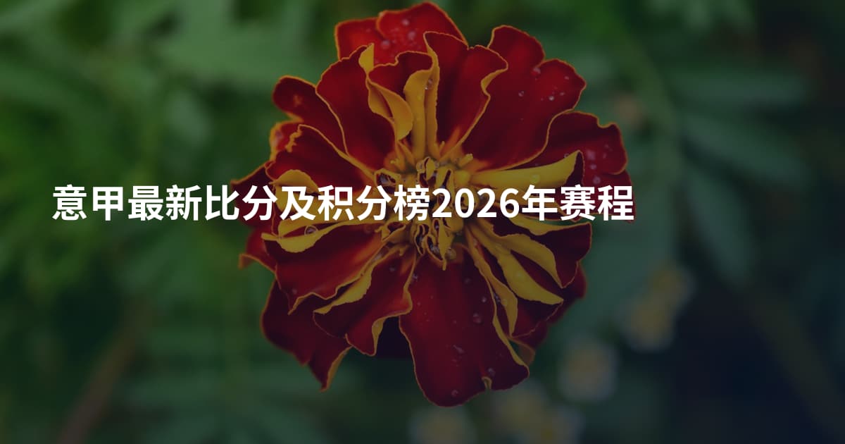 意甲最新比分及积分榜2026年赛程