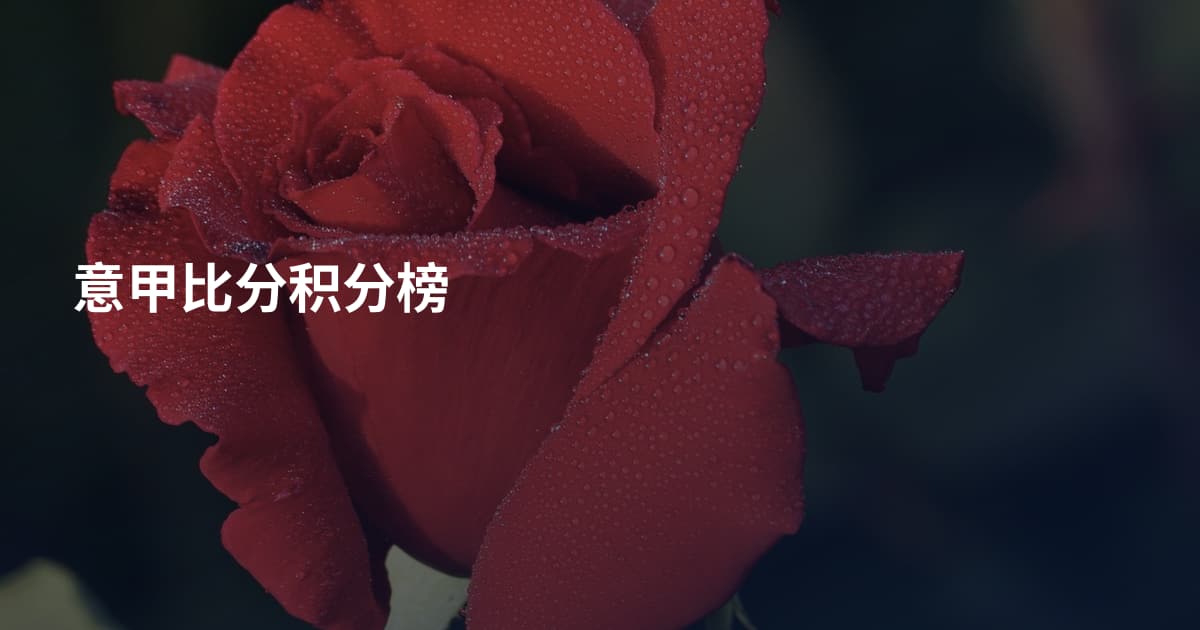 意甲比分积分榜