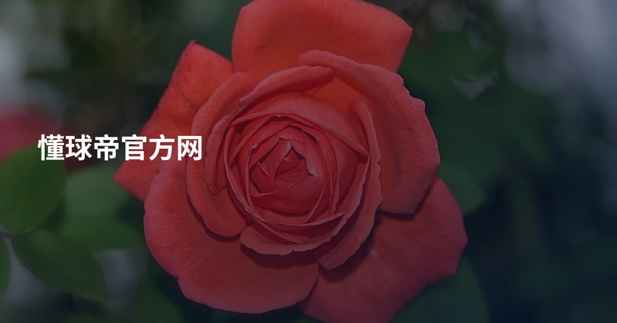 懂球帝官方网