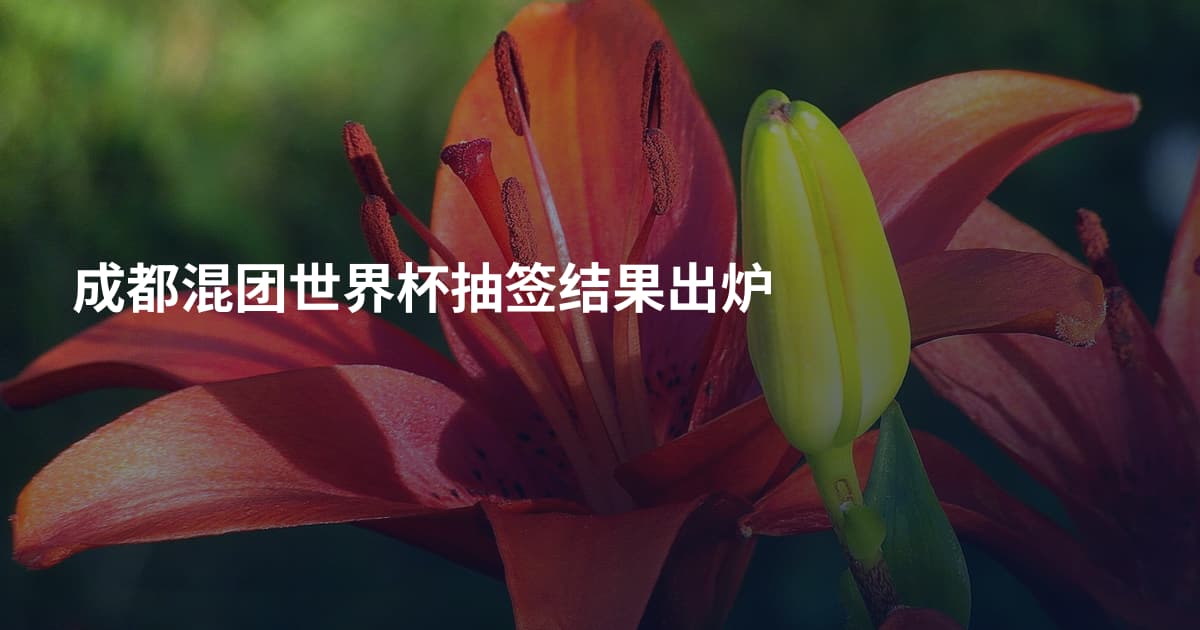 成都混团世界杯抽签结果出炉