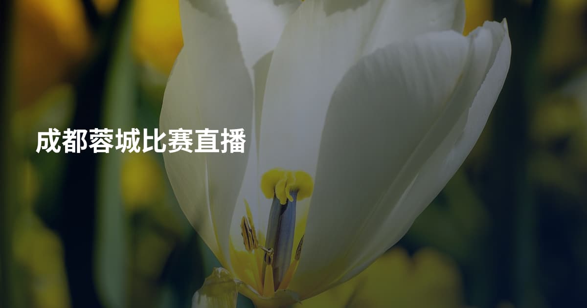 成都蓉城比赛直播
