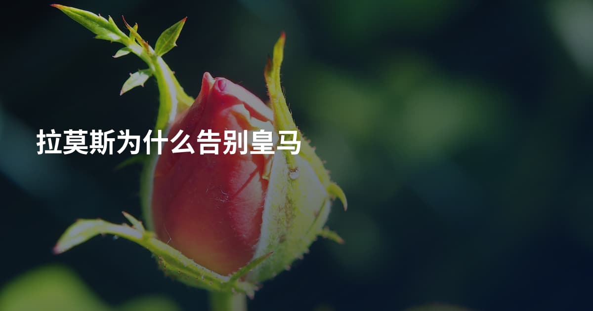 拉莫斯为什么告别皇马