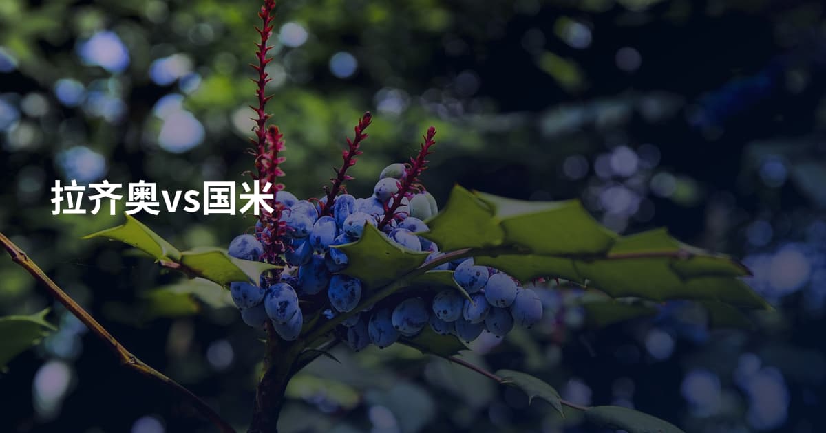 拉齐奥vs国米