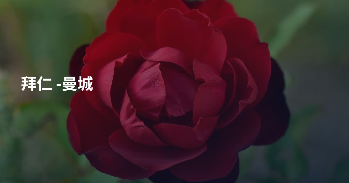 拜仁 -曼城
