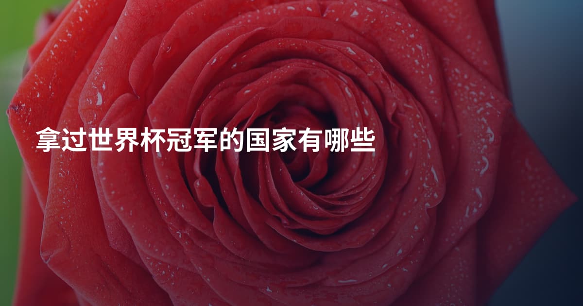 拿过世界杯冠军的国家有哪些
