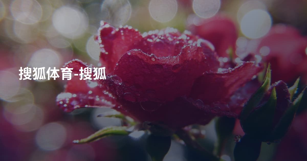 搜狐体育-搜狐