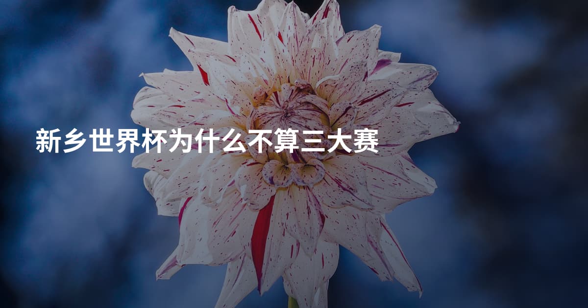 新乡世界杯为什么不算三大赛