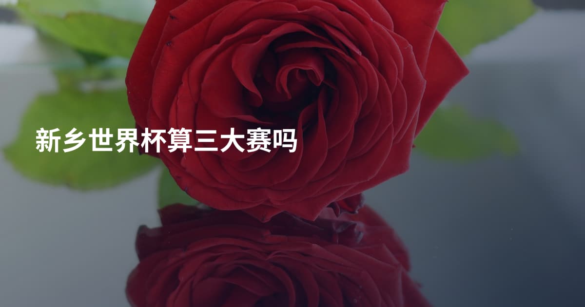 新乡世界杯算三大赛吗