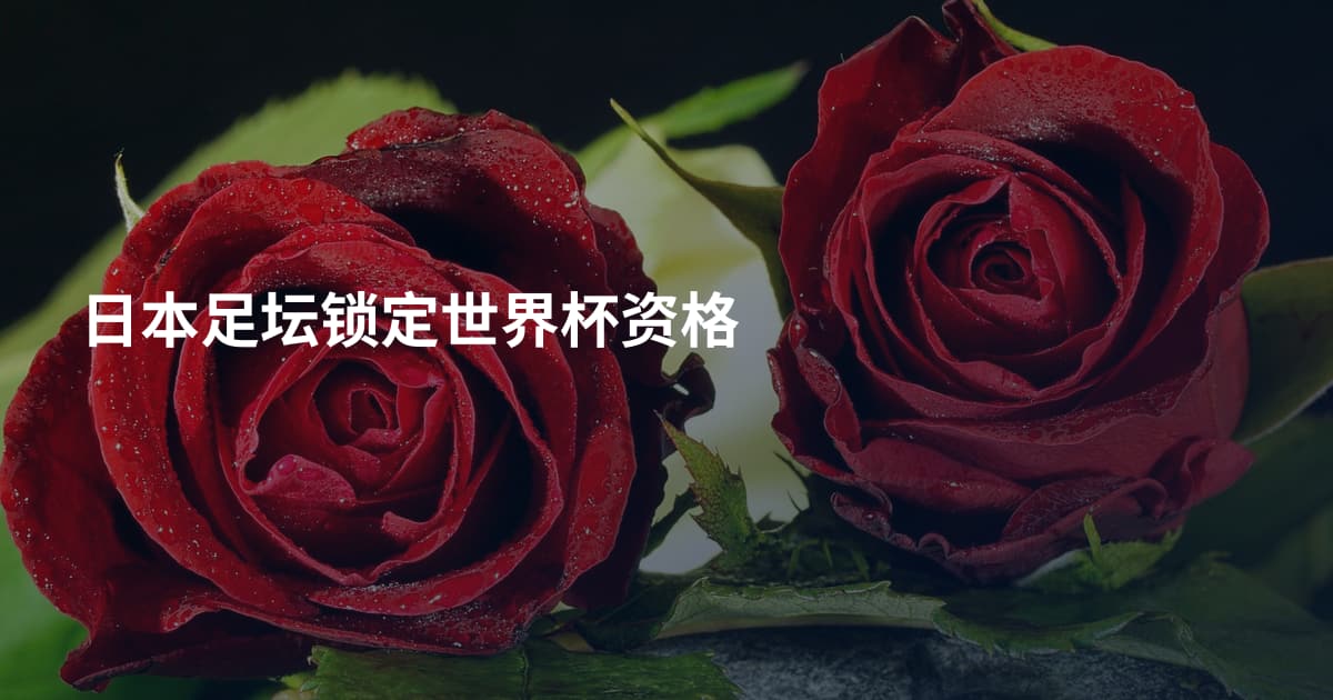 日本足坛锁定世界杯资格