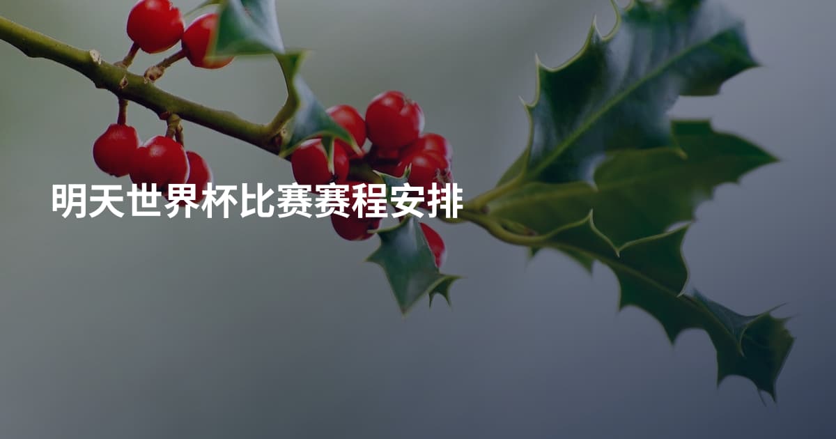 明天世界杯比赛赛程安排