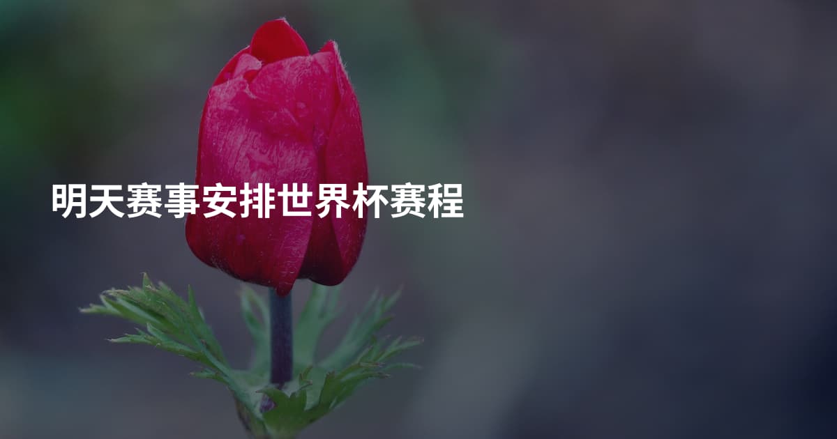 明天赛事安排世界杯赛程