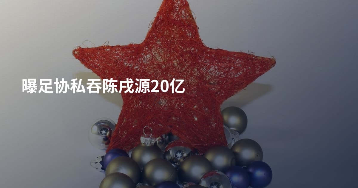 曝足协私吞陈戌源20亿