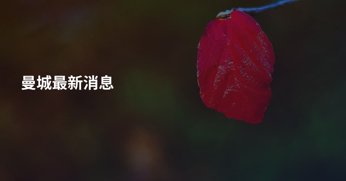 曼城最新消息
