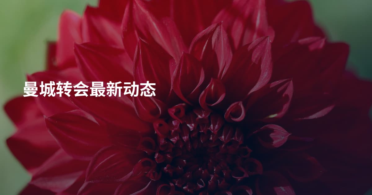 曼城转会最新动态