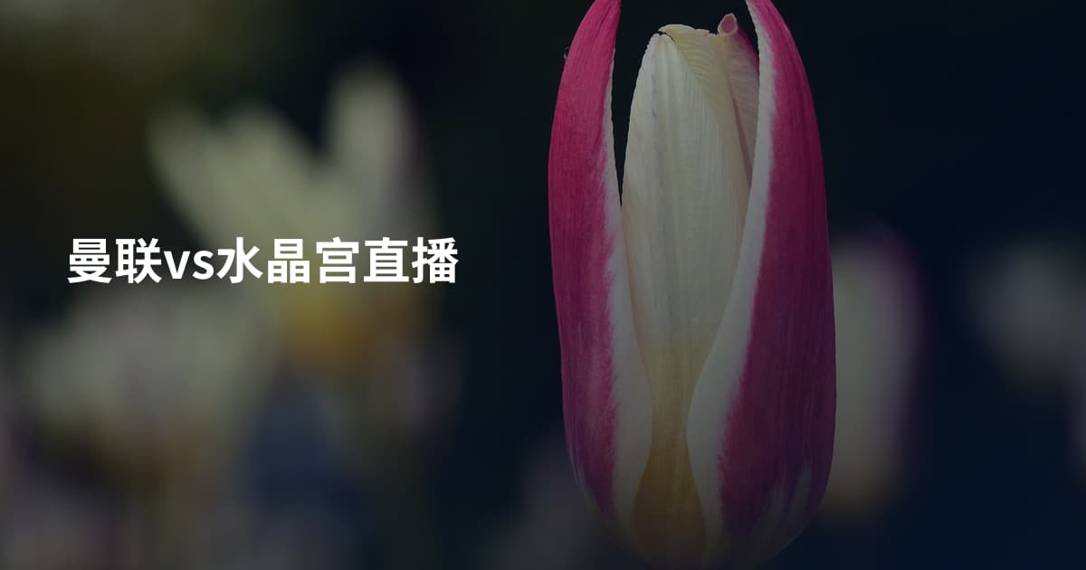 曼联vs水晶宫直播