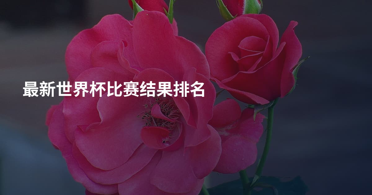 最新世界杯比赛结果排名