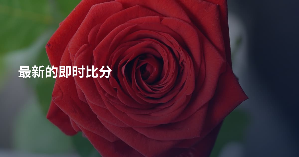 最新的即时比分
