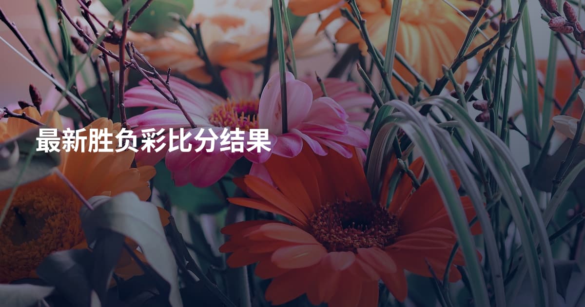 最新胜负彩比分结果