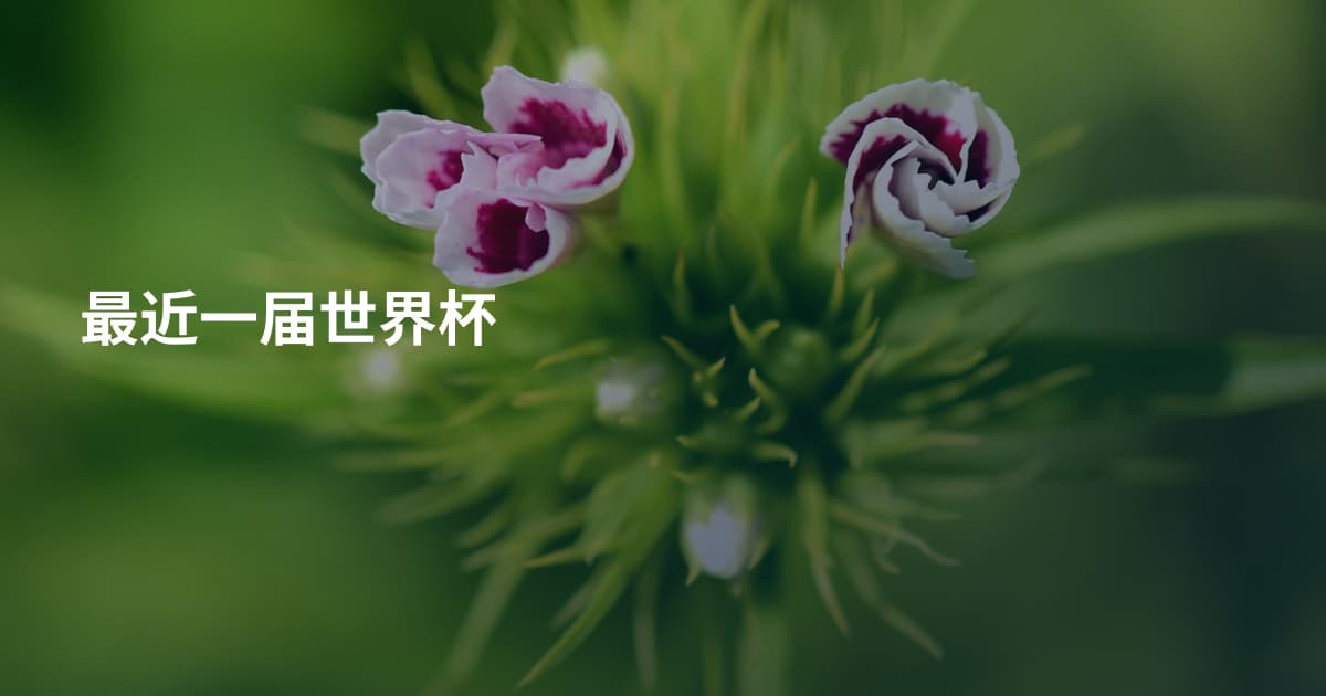 最近一届世界杯