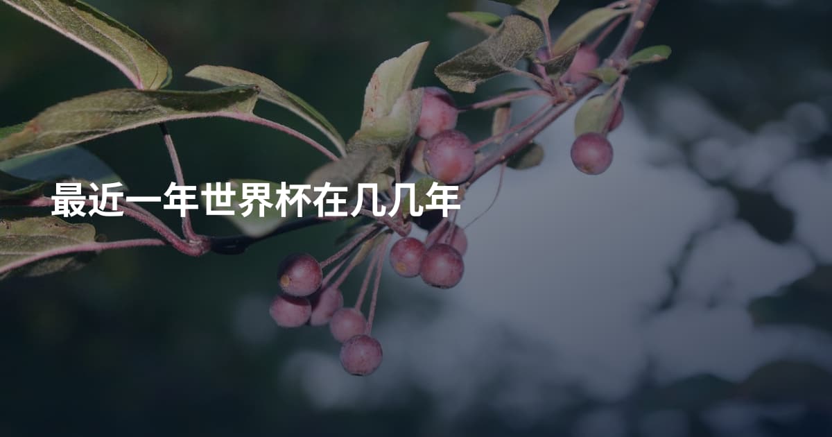 最近一年世界杯在几几年