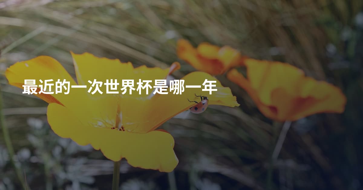 最近的一次世界杯是哪一年