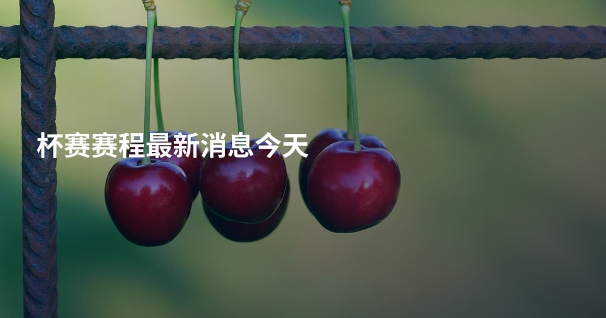 杯赛赛程最新消息今天