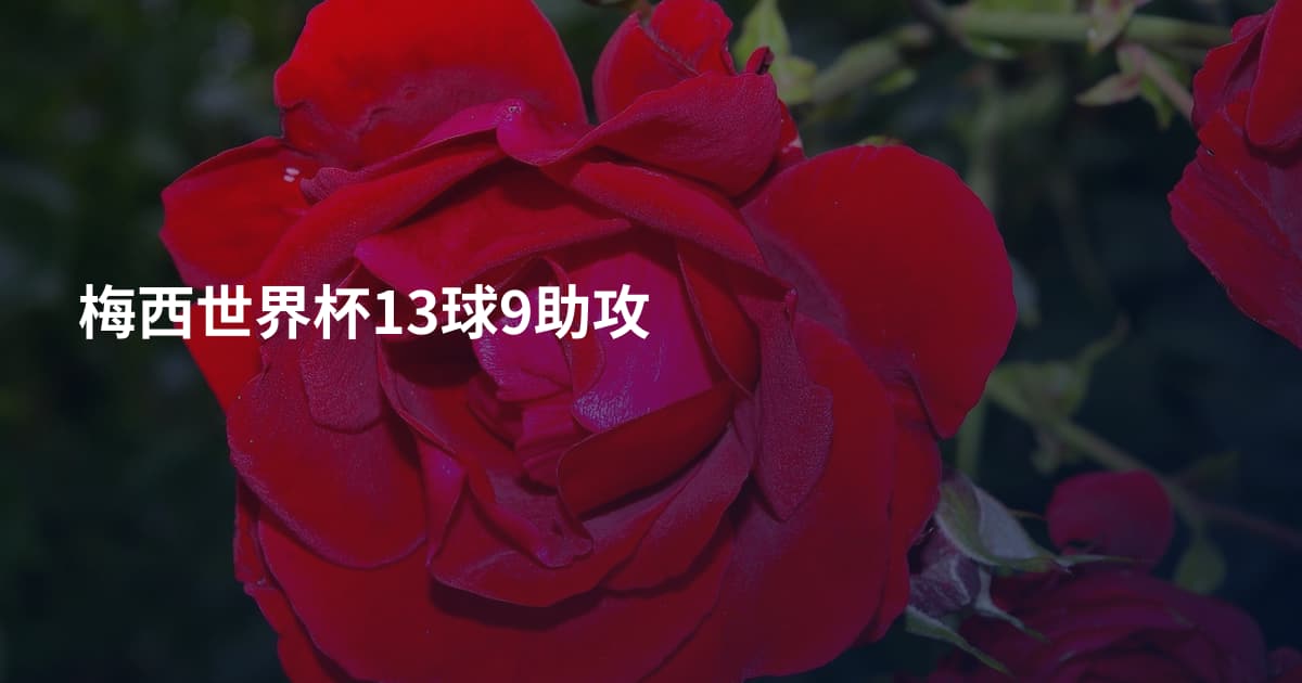 梅西世界杯13球9助攻