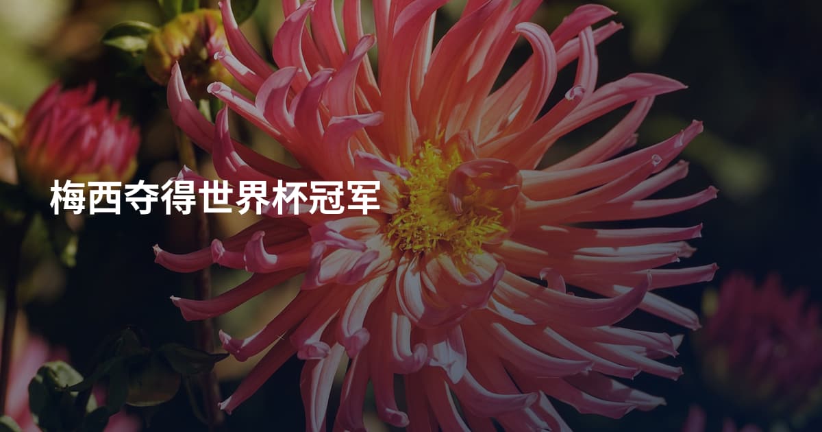 梅西夺得世界杯冠军