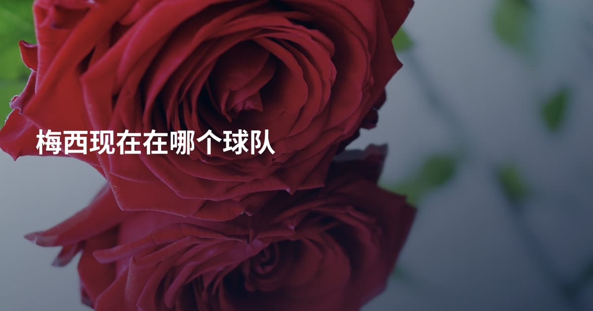 梅西现在在哪个球队