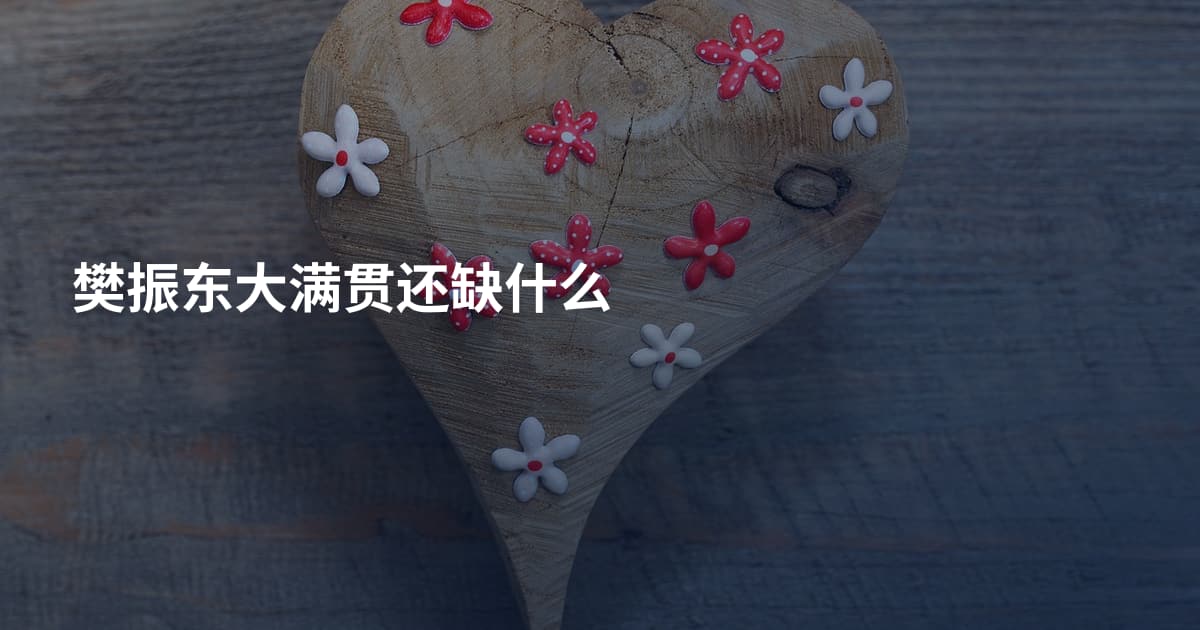 樊振东大满贯还缺什么