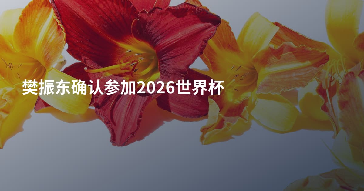 樊振东确认参加2026世界杯