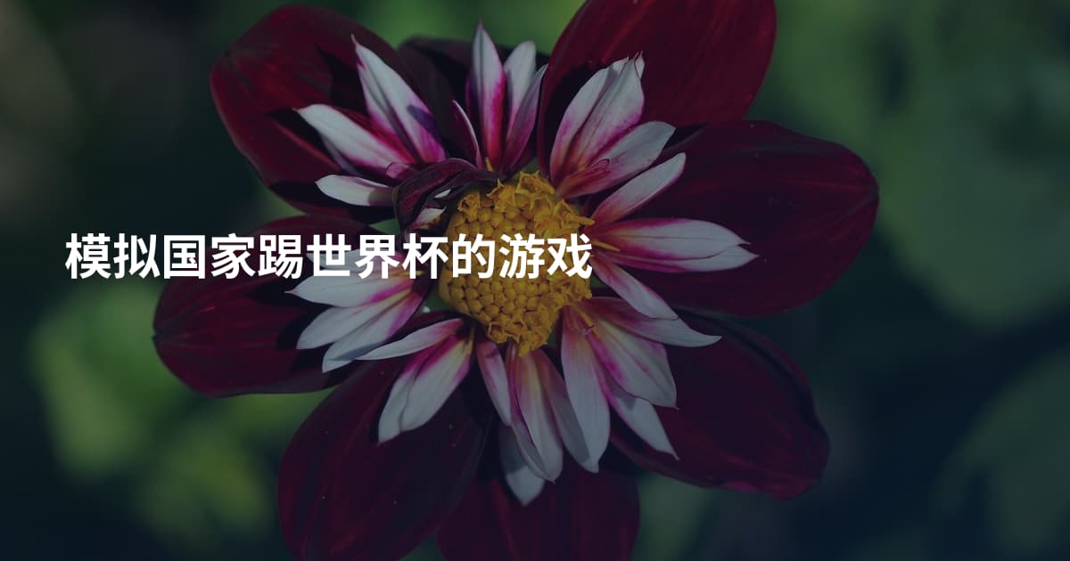 模拟国家踢世界杯的游戏
