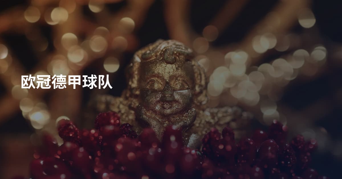 欧冠德甲球队
