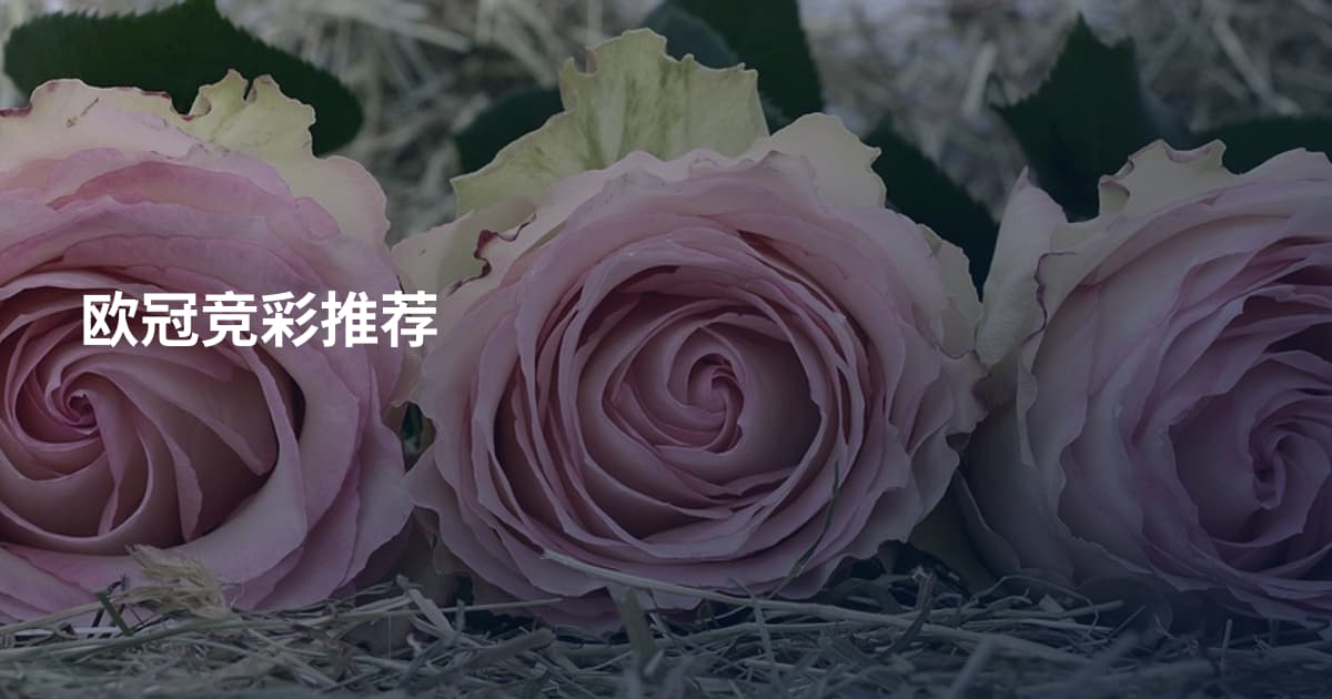 欧冠竞彩推荐