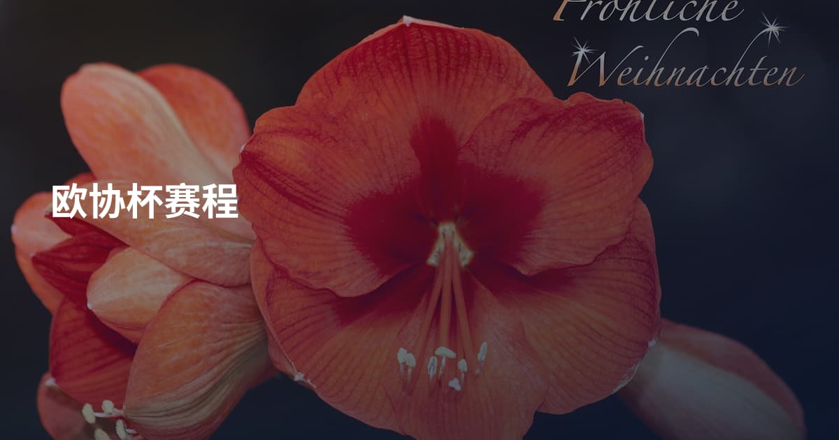 欧协杯赛程
