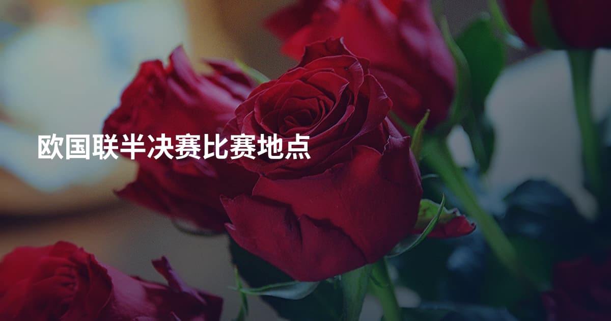 欧国联半决赛比赛地点