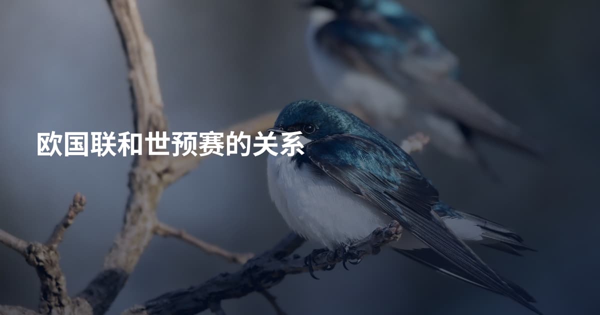 欧国联和世预赛的关系