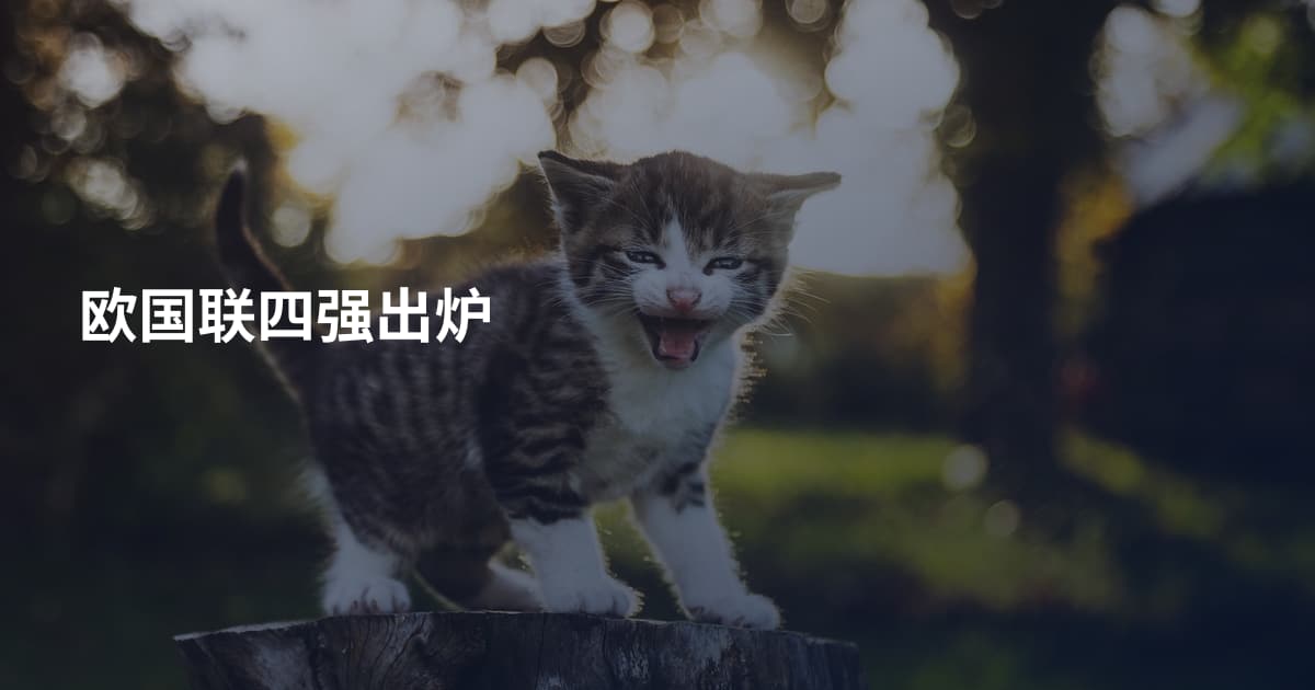 欧国联四强出炉